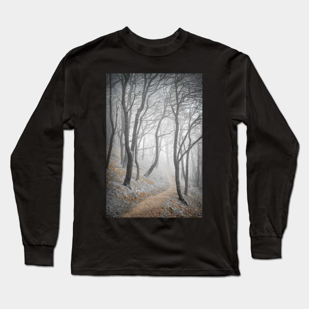 Misty trees in a wood with a path Long Sleeve T-Shirt by TonyNorth